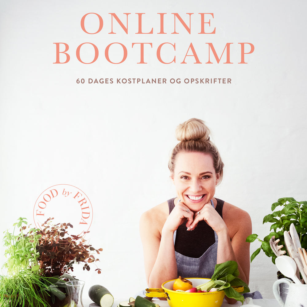 Online Bootcamp